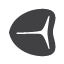 ţ
