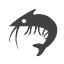 Ϻ